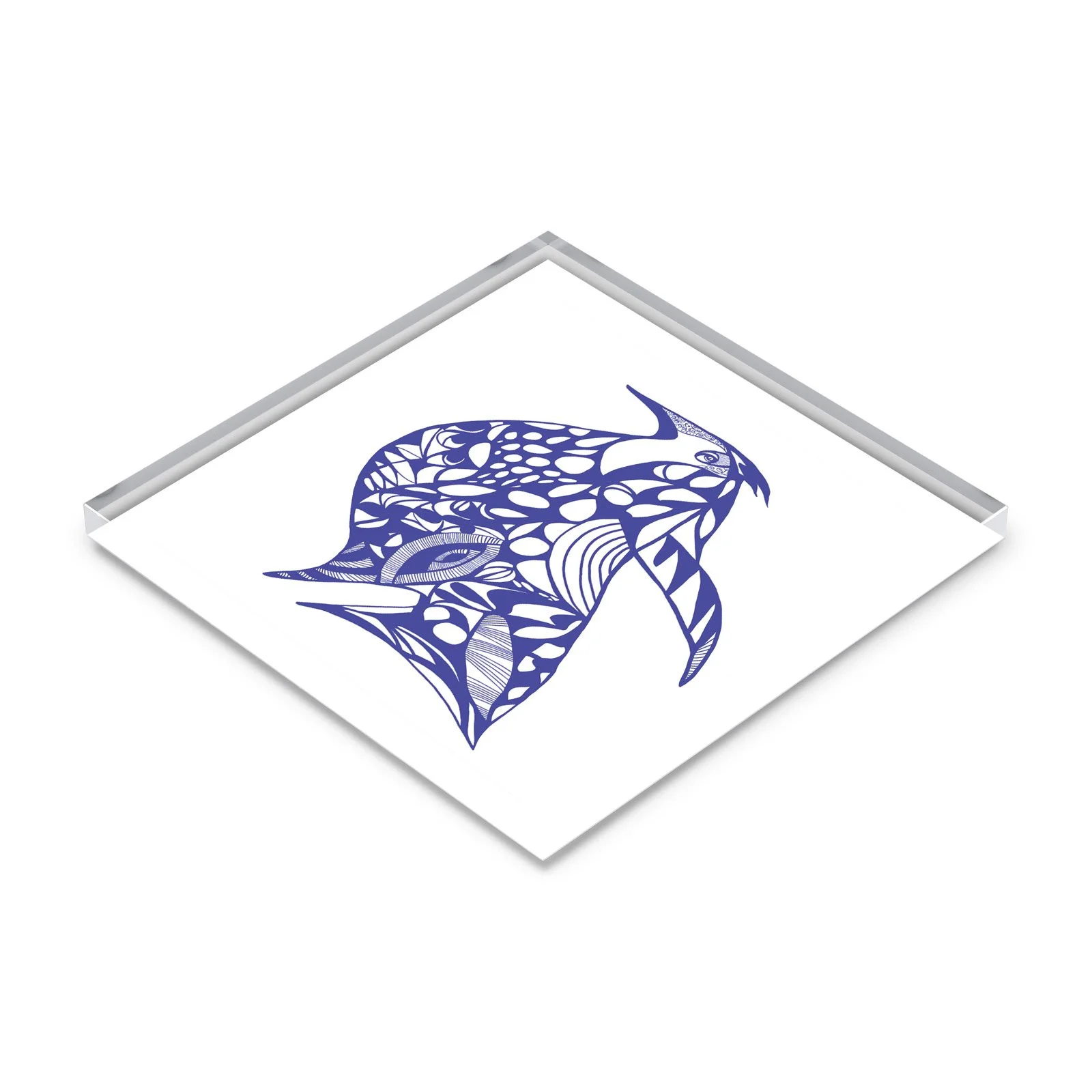 Blue-Bird-Coaster-1.jpg