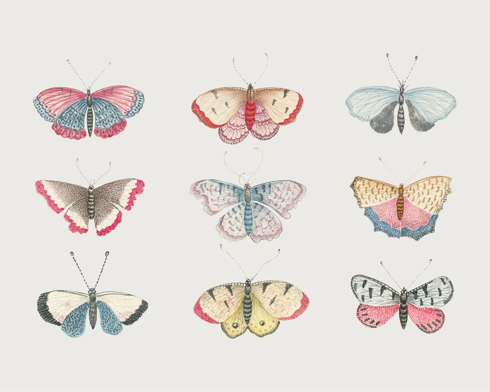 Vintage-Butterflies.jpg
