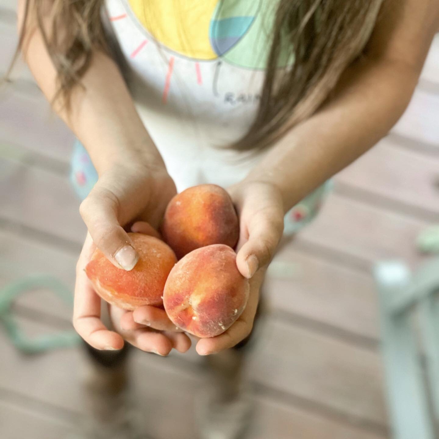 First picks off of our container peach tree.  Small but delicious. And even more delicious when you grew them yourself.
.
Also, despite its smallness, this one beat out most of our other peach trees in production after the other guys lost their fruit