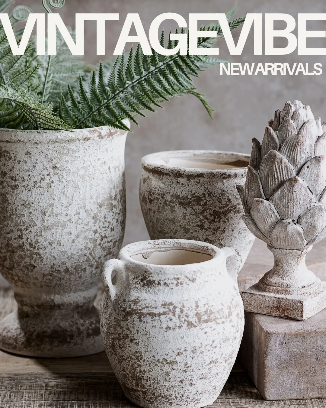 VintageVibes.jpg