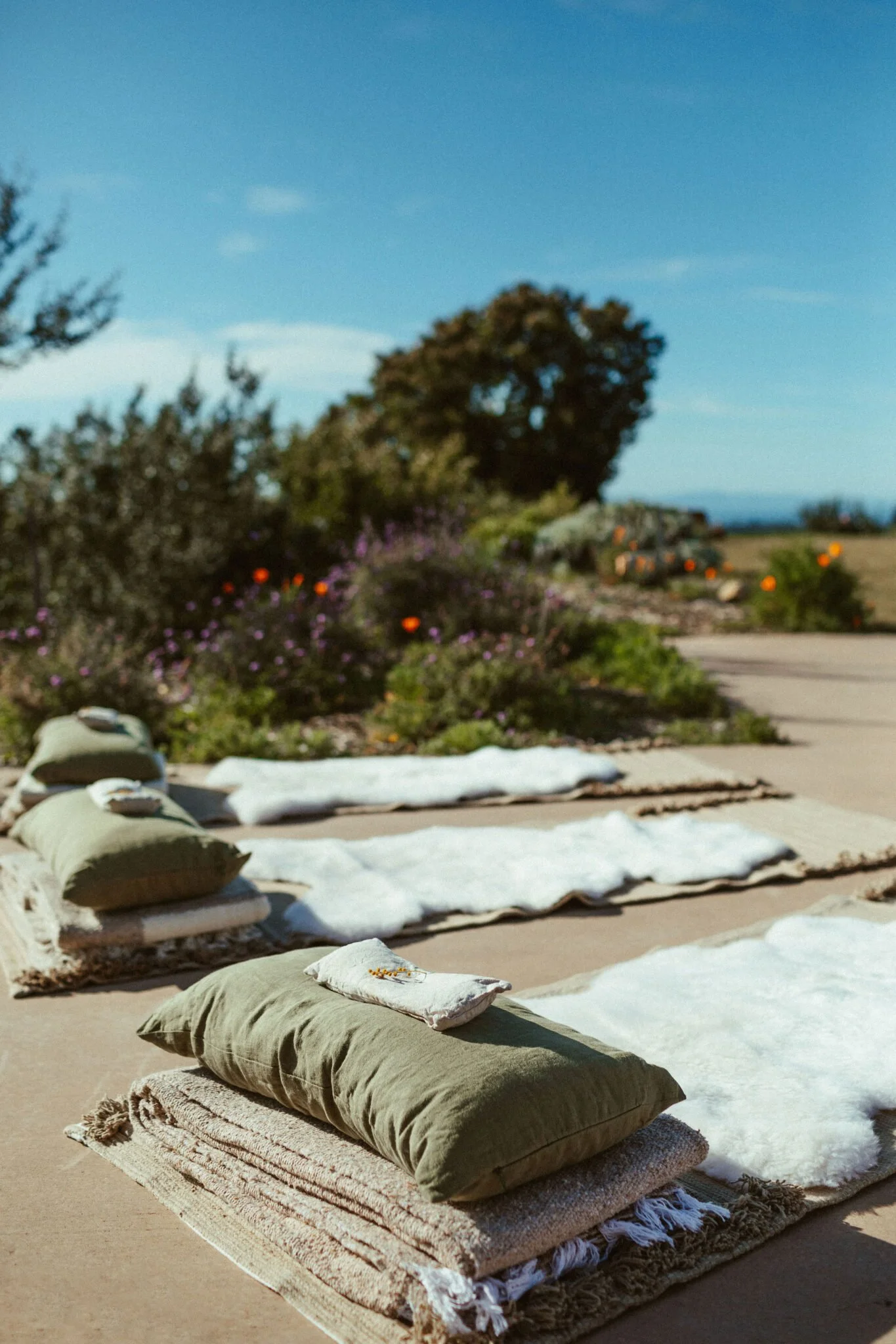 The Nature of Women (International Women's Day)