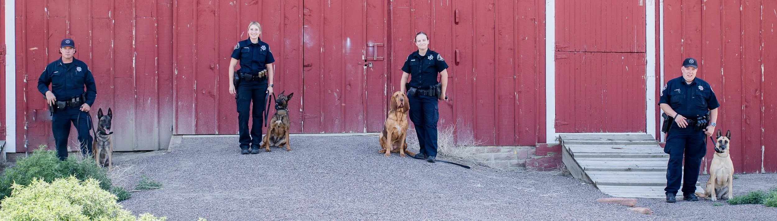 K9 unit cropped.jpeg