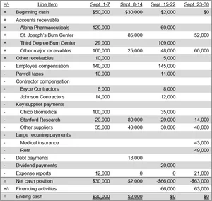 Cash budget definition — AccountingTools