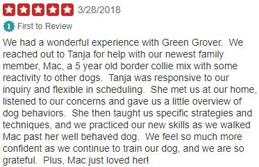 Yelp_Review.JPG