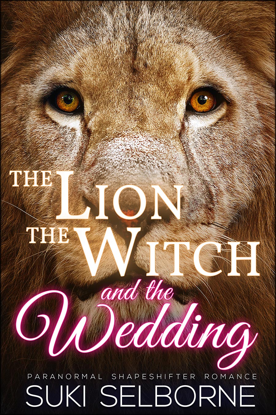 the-lion-the-witch-and-the-wedding.jpg