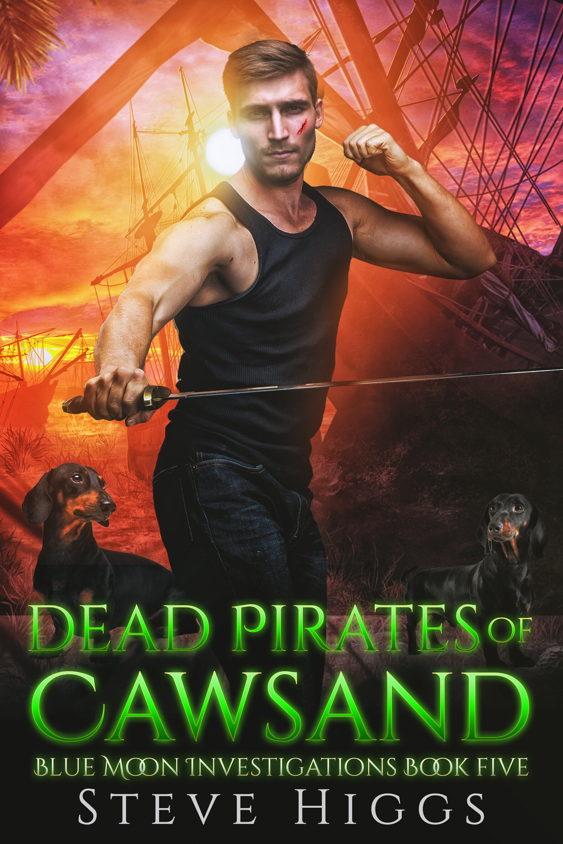 Steve Higgs - Dead Pirates of Cawsand – Blue Moon Investigations Book 5.jpg
