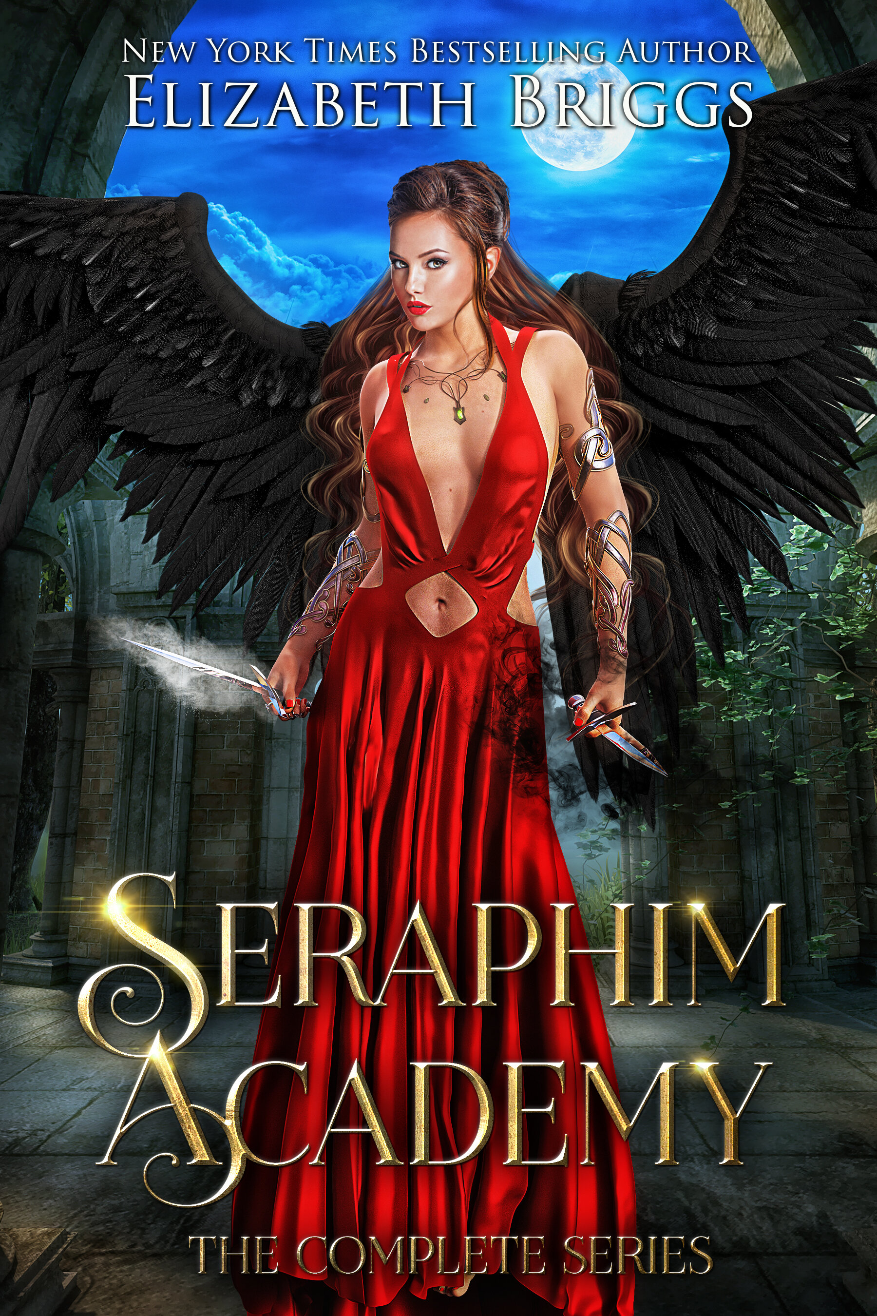 Elizabeth Briggs - Seraphim Academy boxset v5.jpg