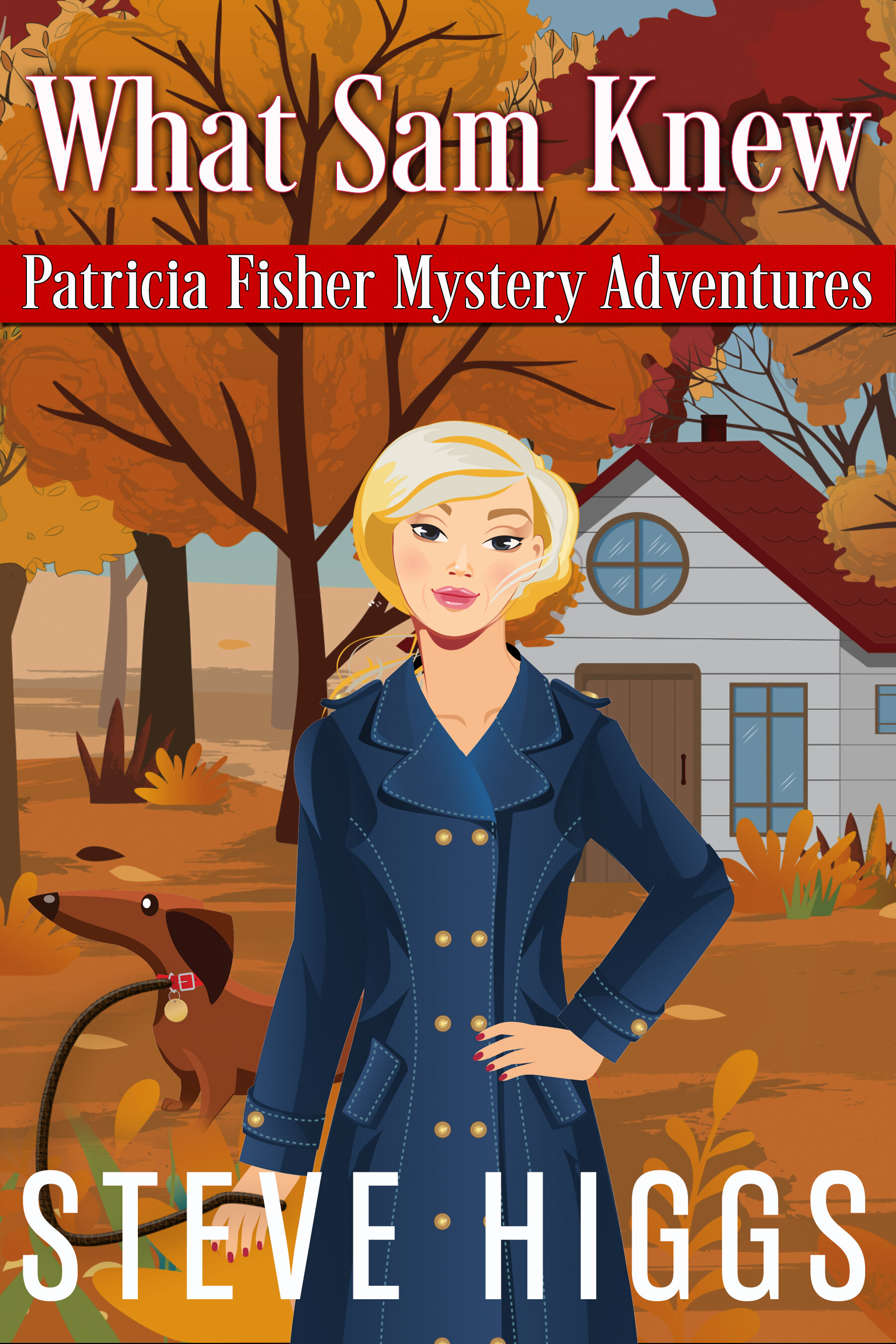 Steve Higgs - Patricia Fisher Village Mysteries 1 v7.jpg