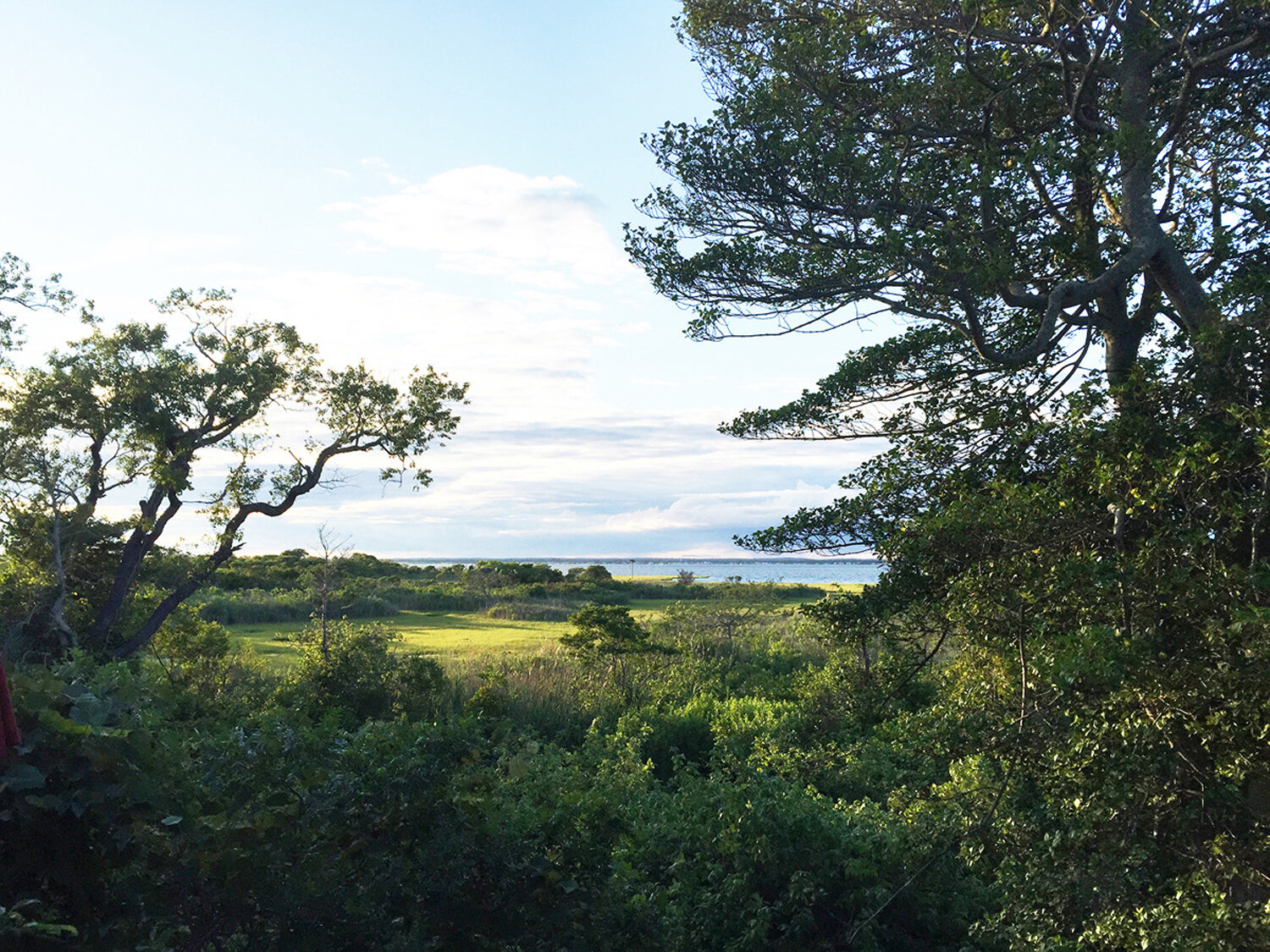 12_back view great south bay.jpg