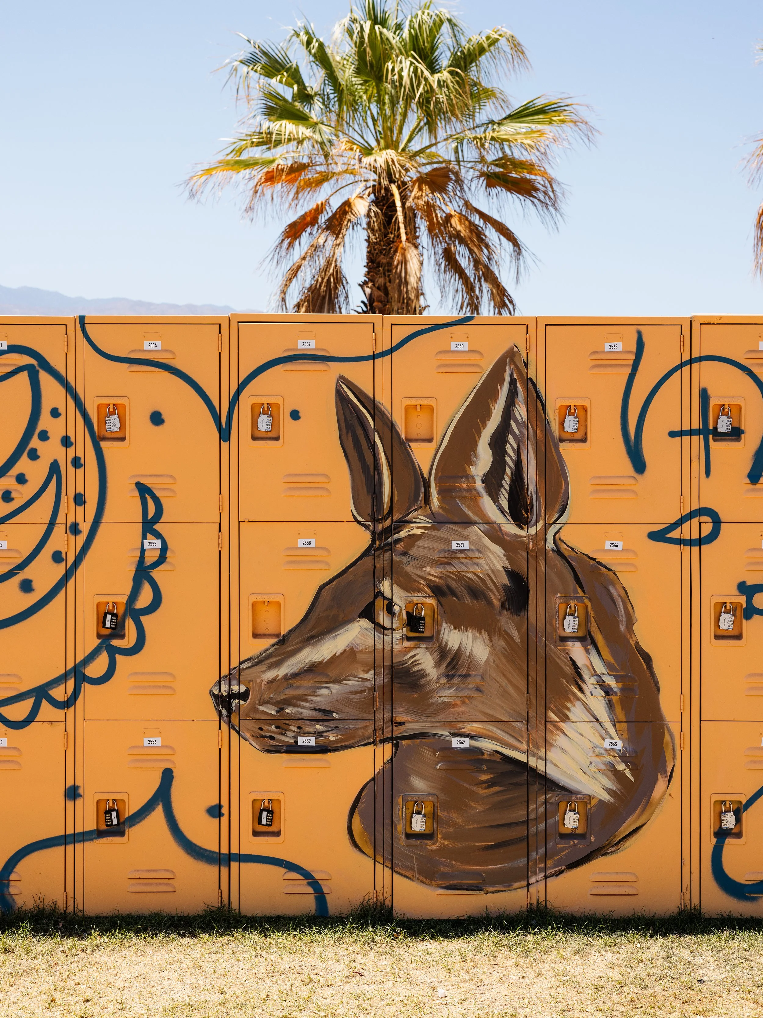 Sofia Coachella Lockers 15.jpg