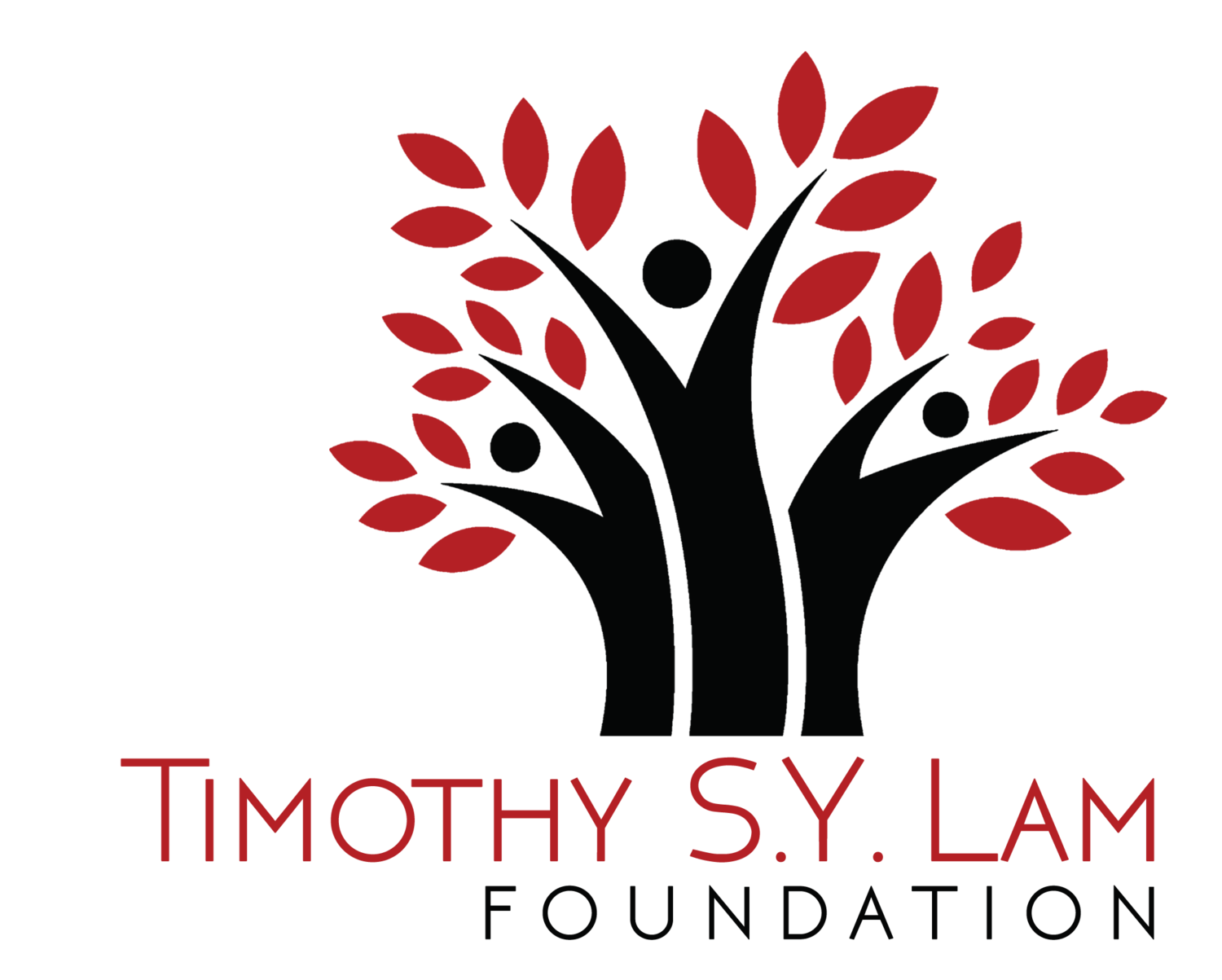 Timothy S Y Lam Foundation