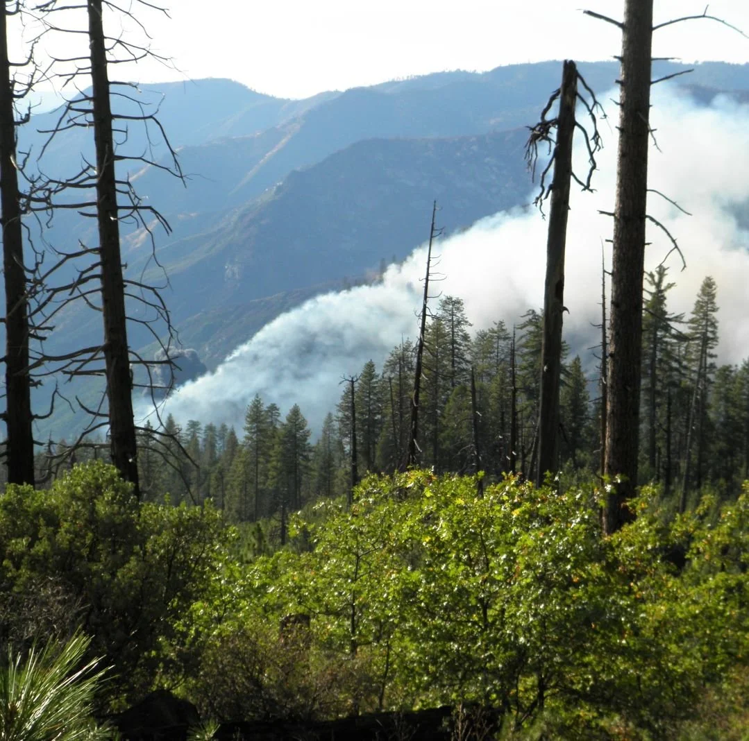 Wildfire-Crash1 - LI Crop FINAL.JPG