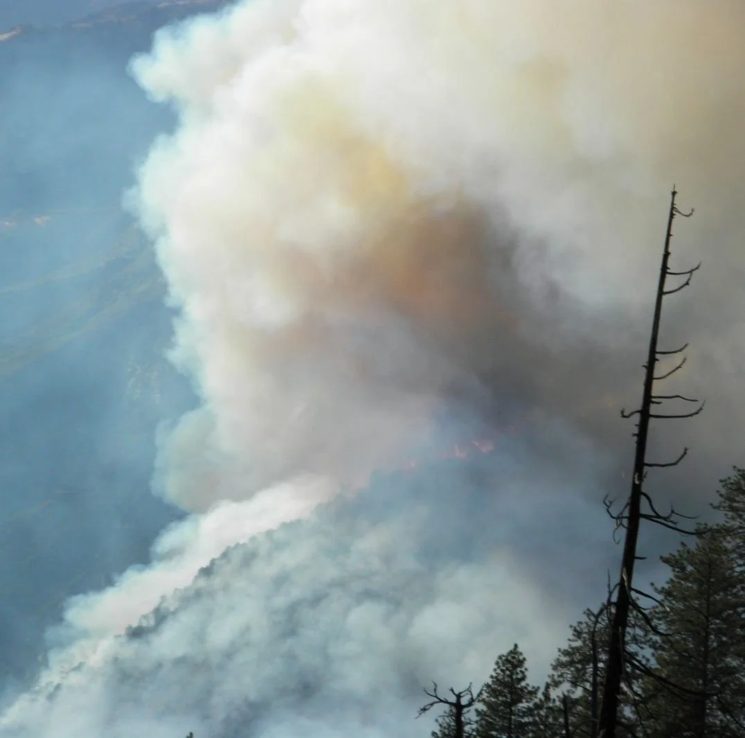 Wildfire-PostCrash-RidgeAflame - LI Crop FINAL.JPG