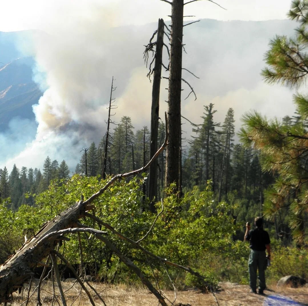 Wildfire-Ranger - LI Crop FINAL.JPG