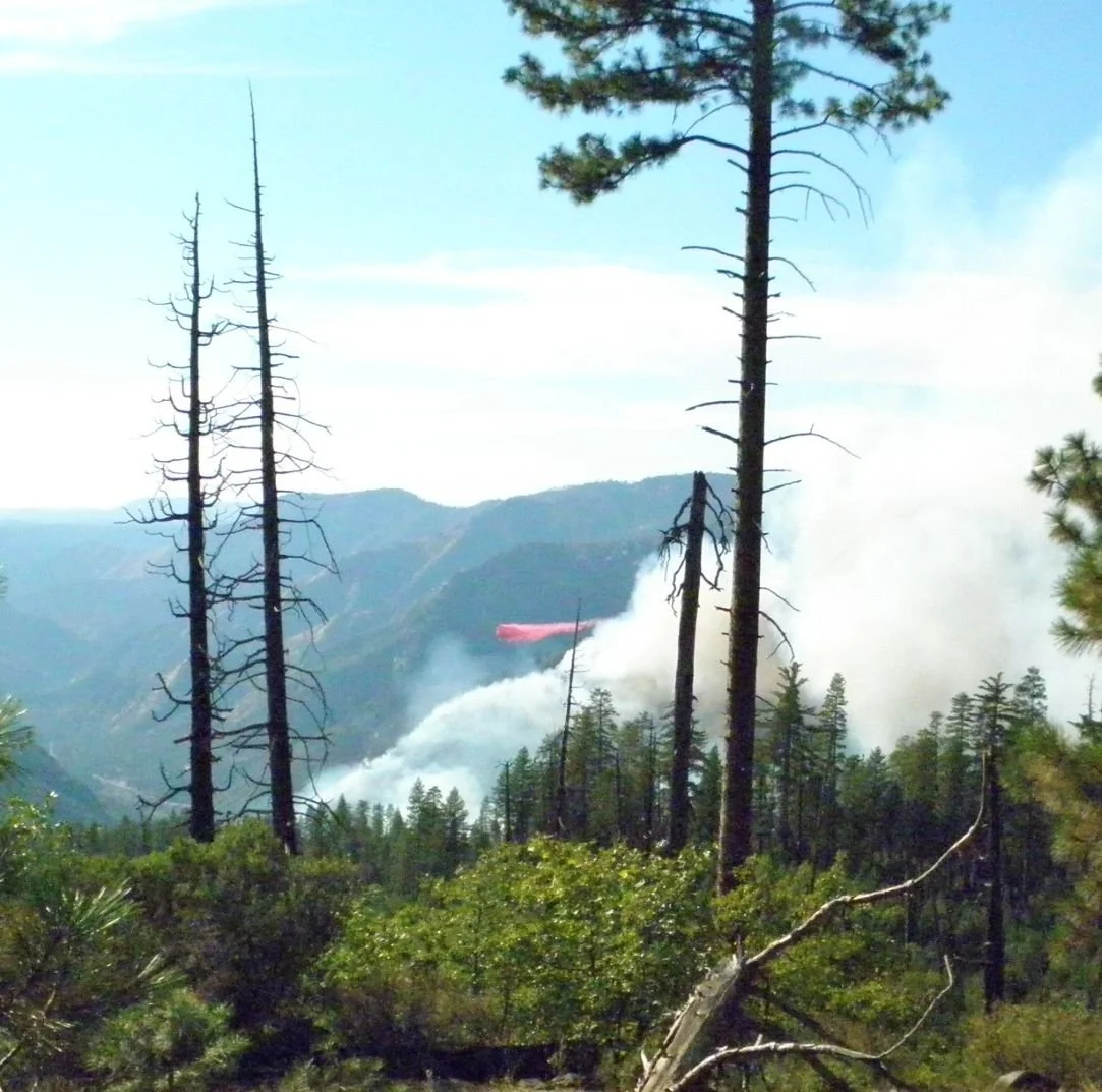 Wildfire-Retardant - LI Crop FINAL.JPG