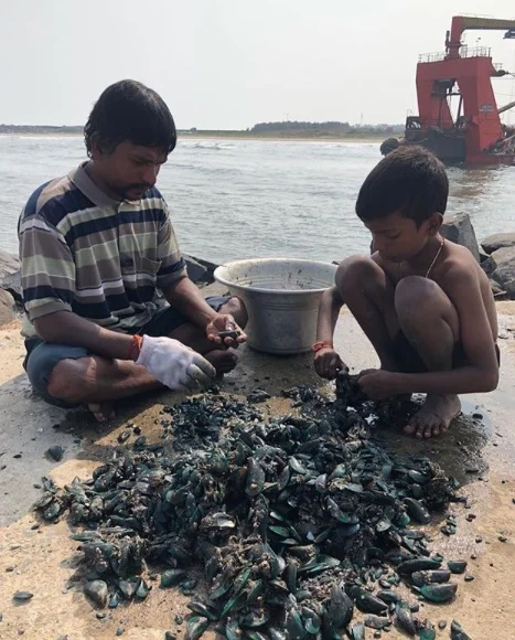 Taking a break and watching a son and father clean mussels on the pier.