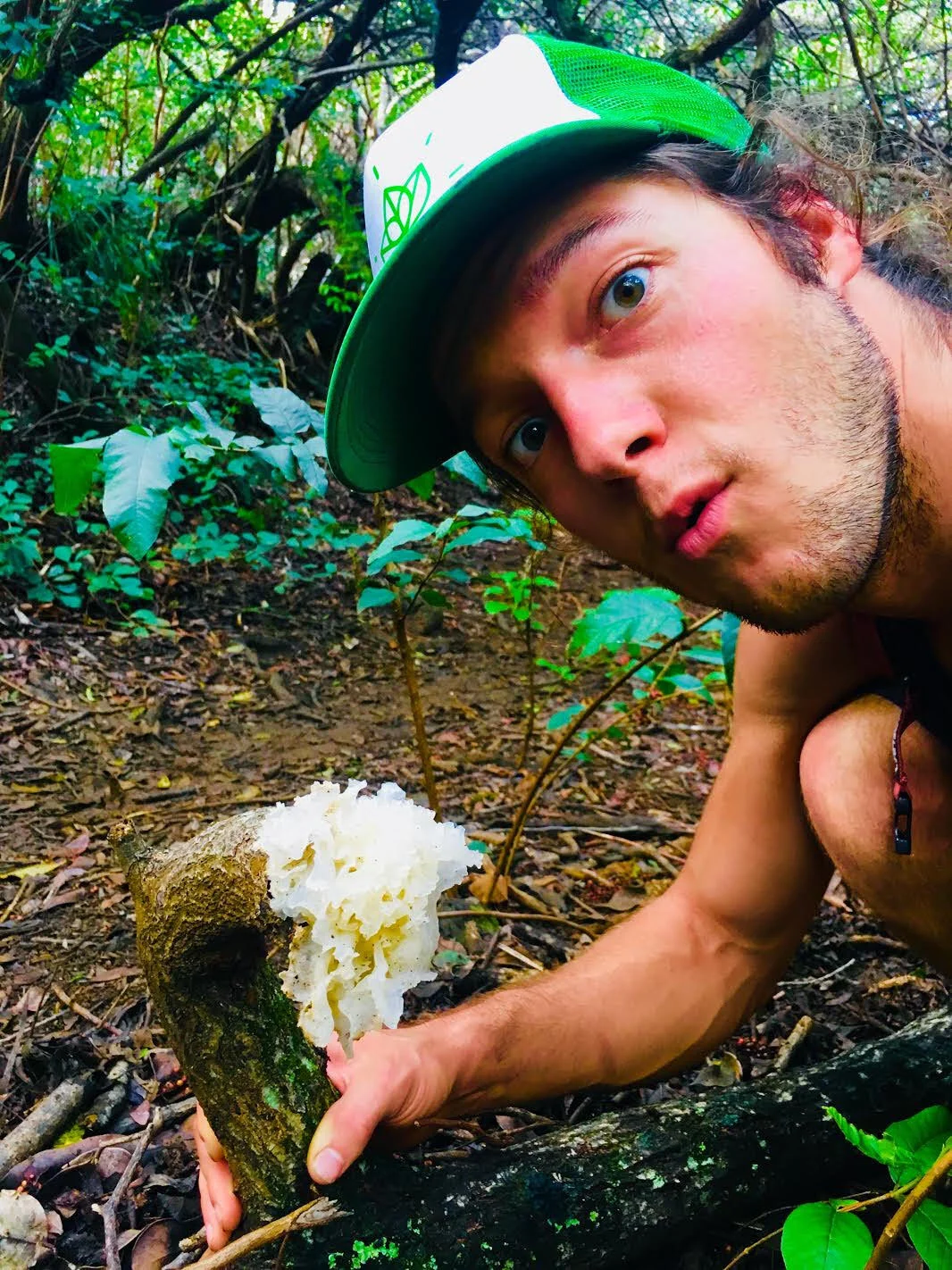 Lillibridge with Gomphus pallidus, a local wild edible on the Big Island.