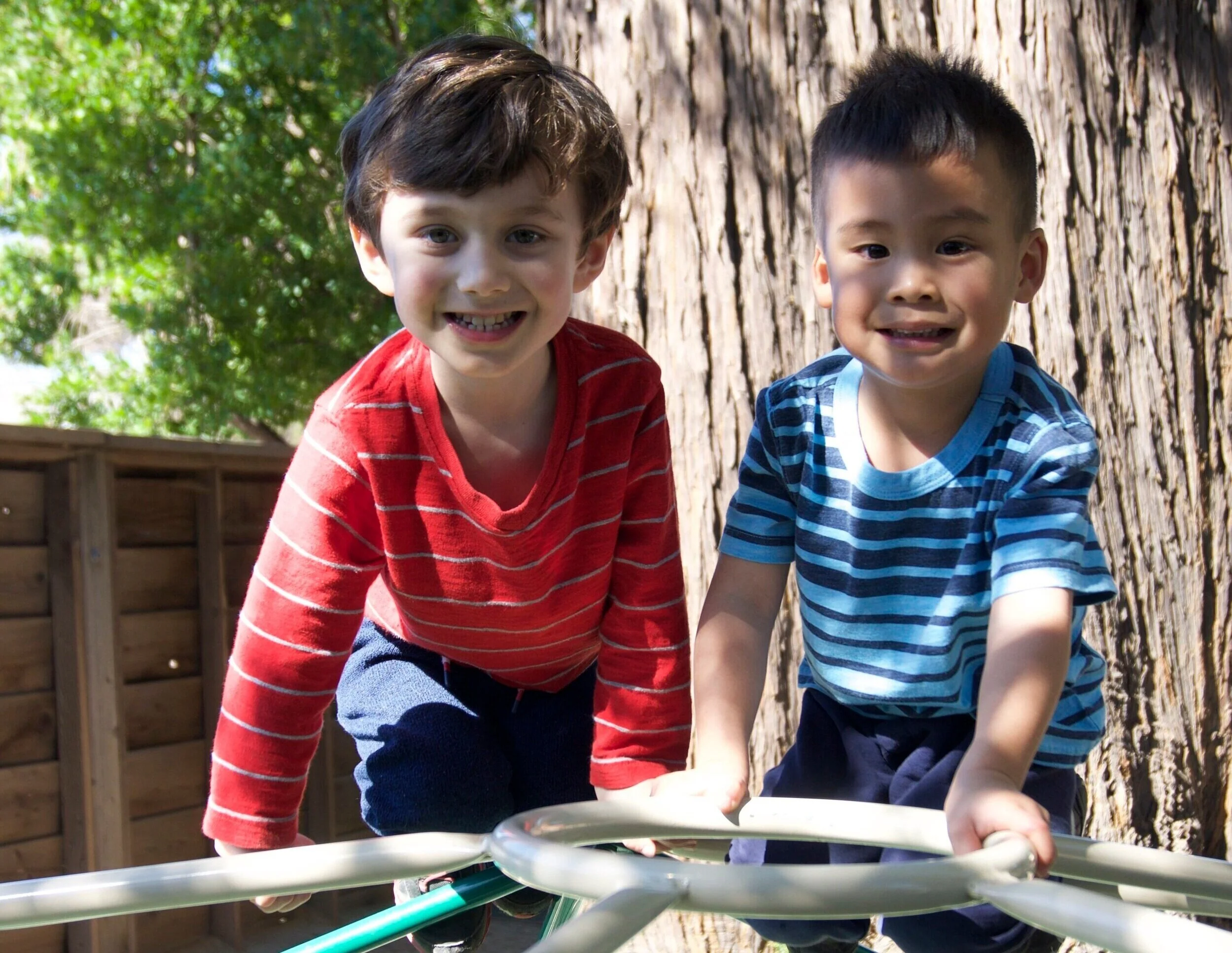Montessori School of Novato