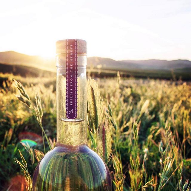 This is the only way you&rsquo;ll ever see grain in a bottle of our vodka. #grainfree