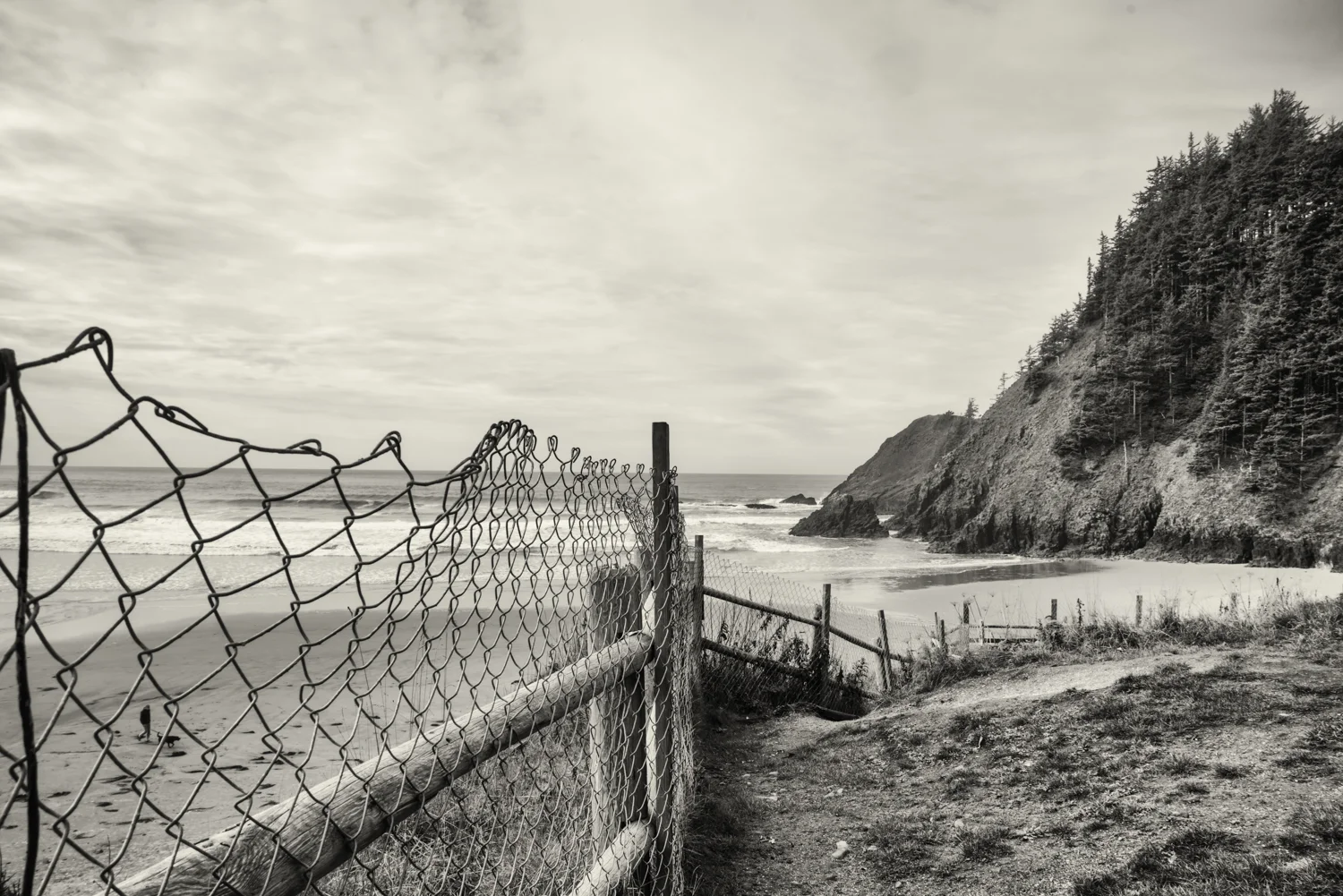 oregon-coast_22.jpg