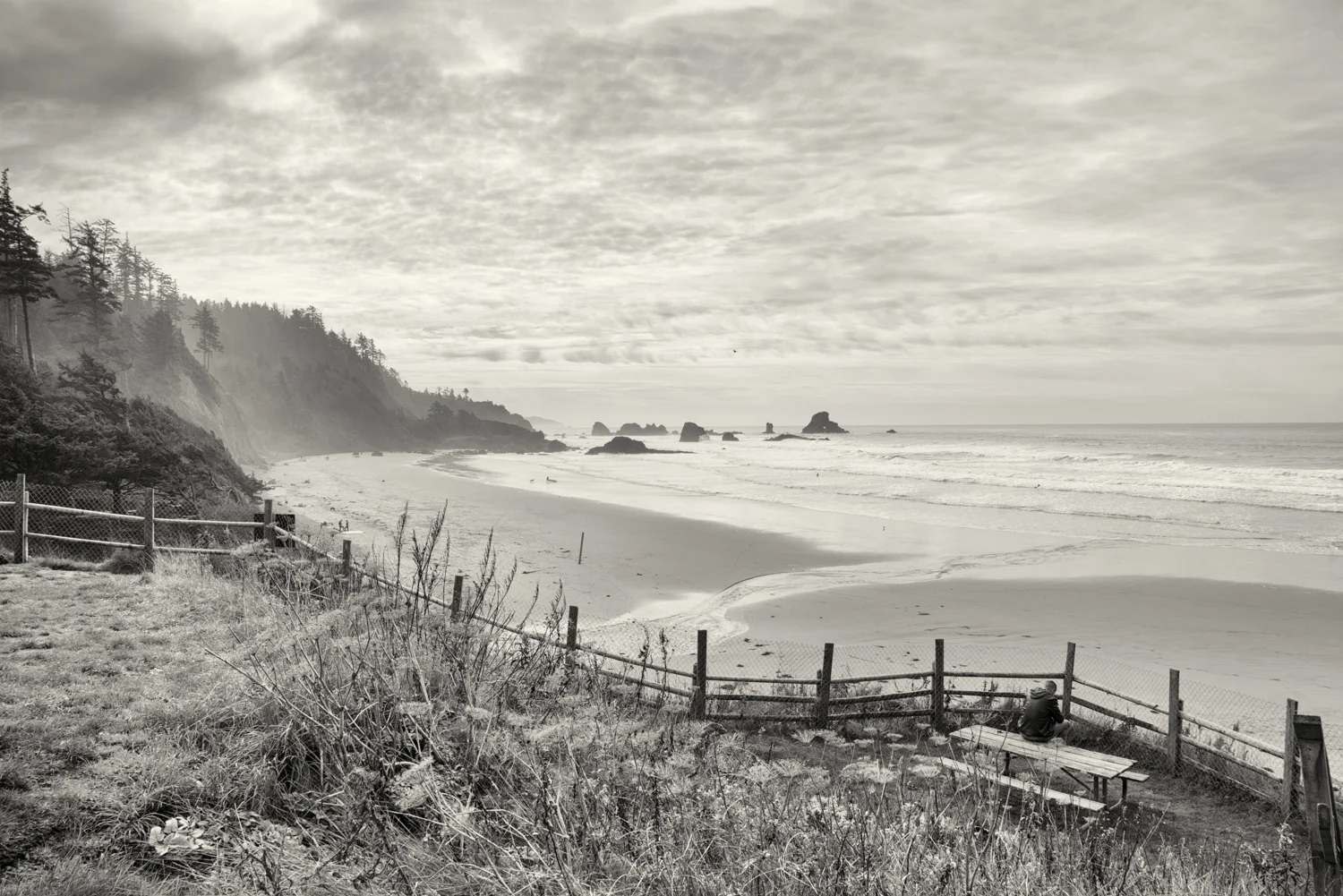 oregon-coast_23.jpg