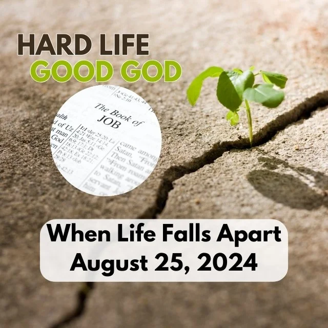 Lessons We Learn from Job (When Bad Things Happen)