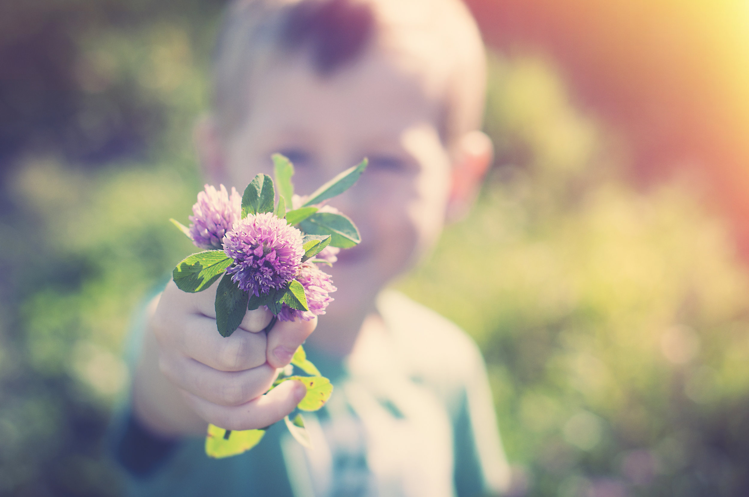 AdobeStock_91603029.jpeg