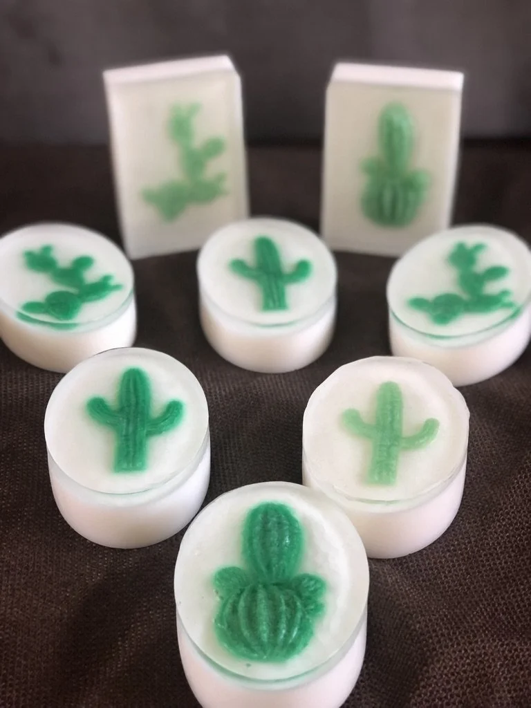 Soap_succulent.jpeg