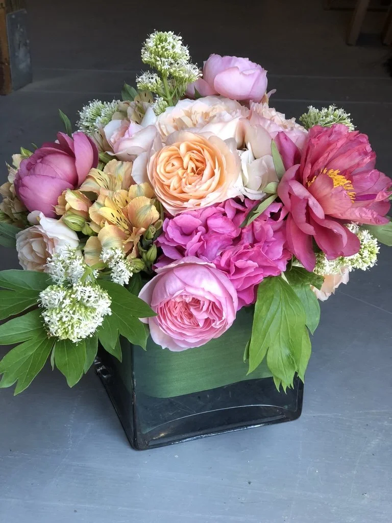 Pinks_Boho, Wild, & Organic.jpeg