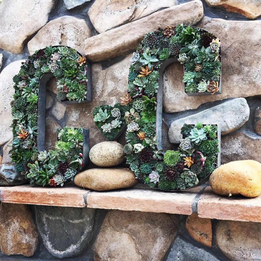 Succulentwall in letters_CC.jpg