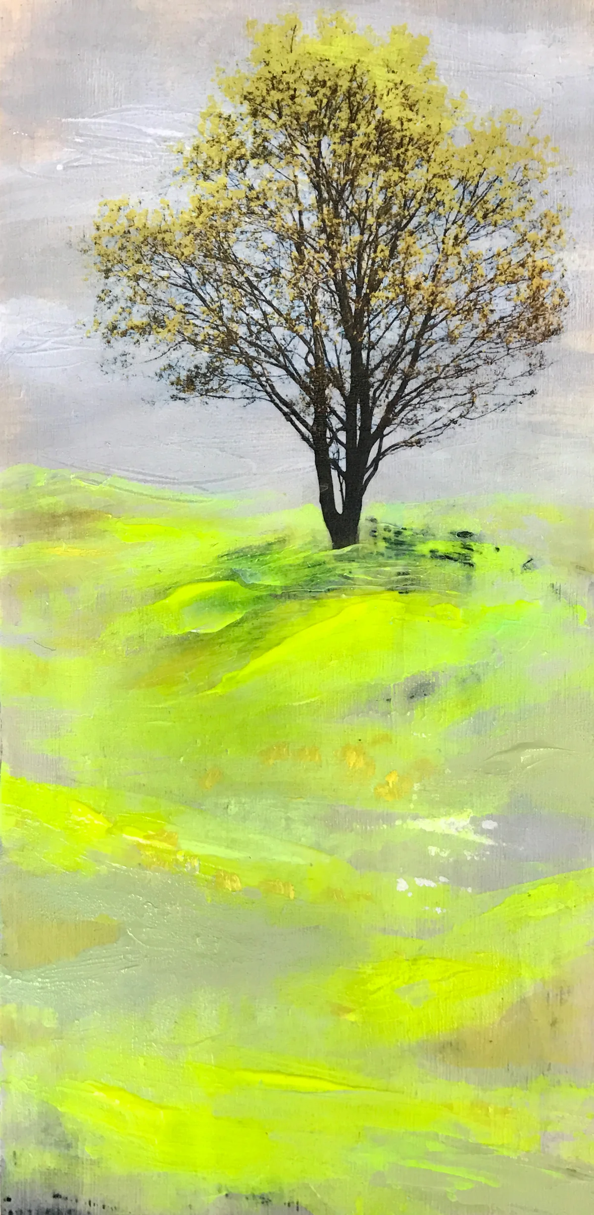 Groundlight (available)