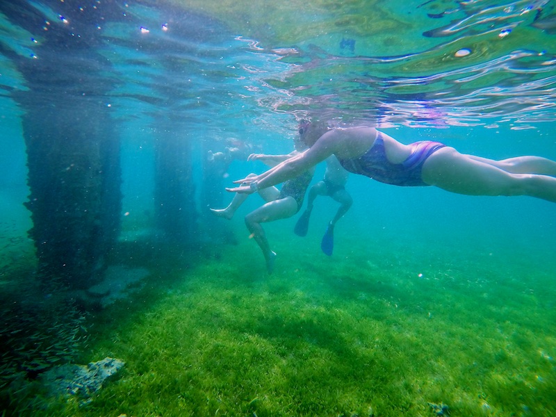 Nudibranchs and Night Swimming.