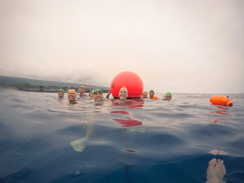 Lava Lakes, Ti Leaves, and the Juvenile Yellowtail Coris