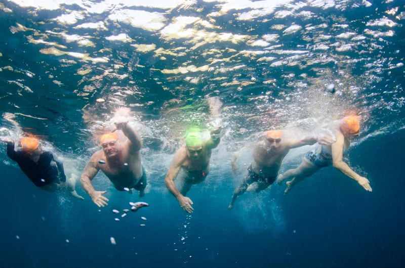 White Bays and Cephalopods and Coming Back Better.