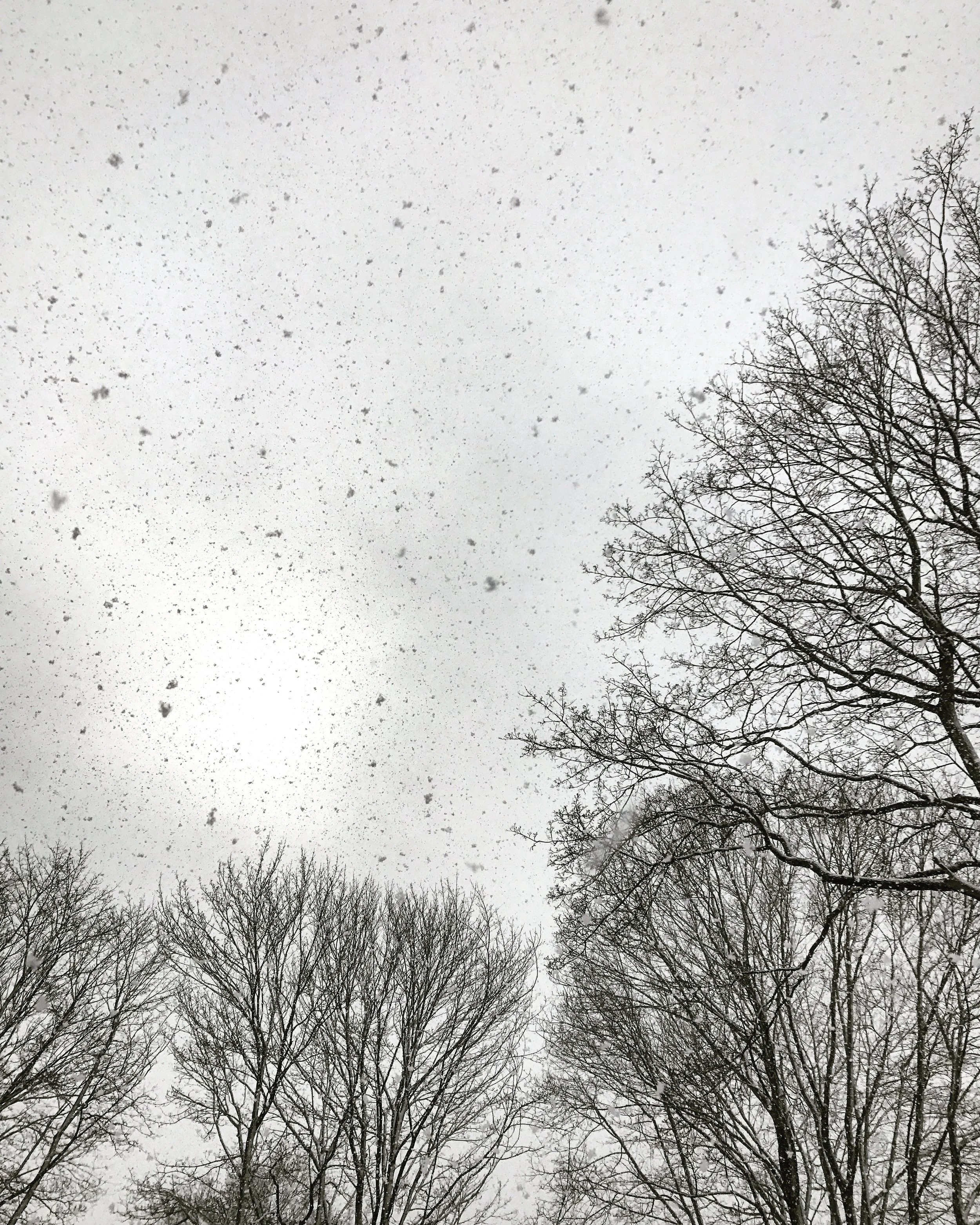 All kinds of weather.