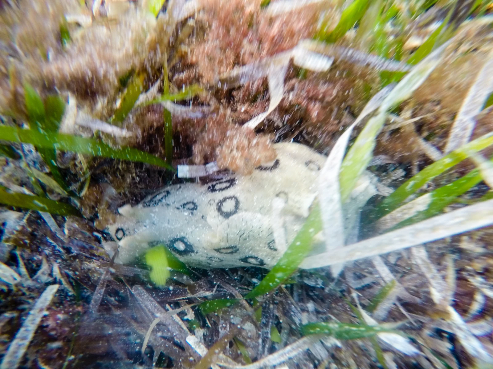 GOPR3974.jpg