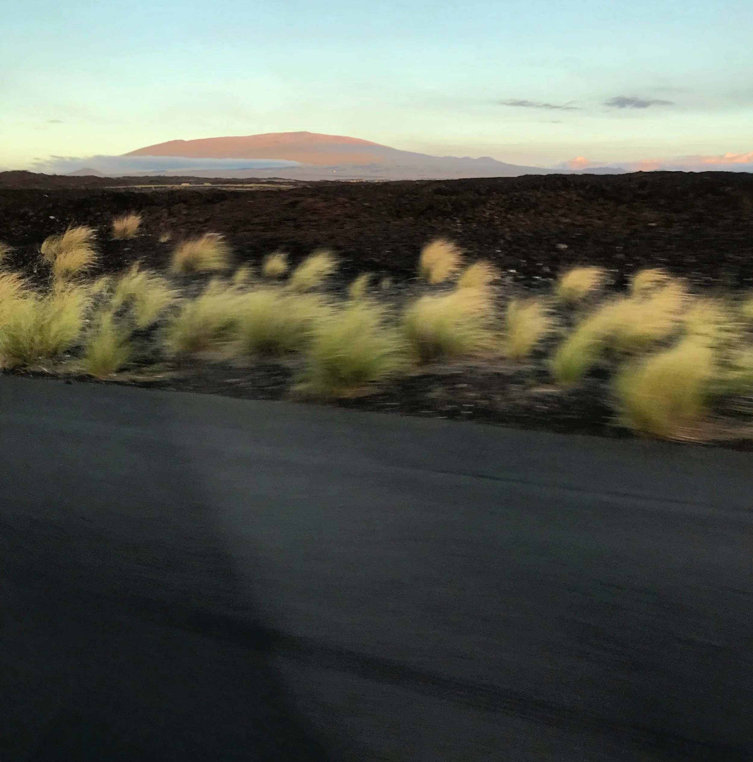 Landing in Aloha