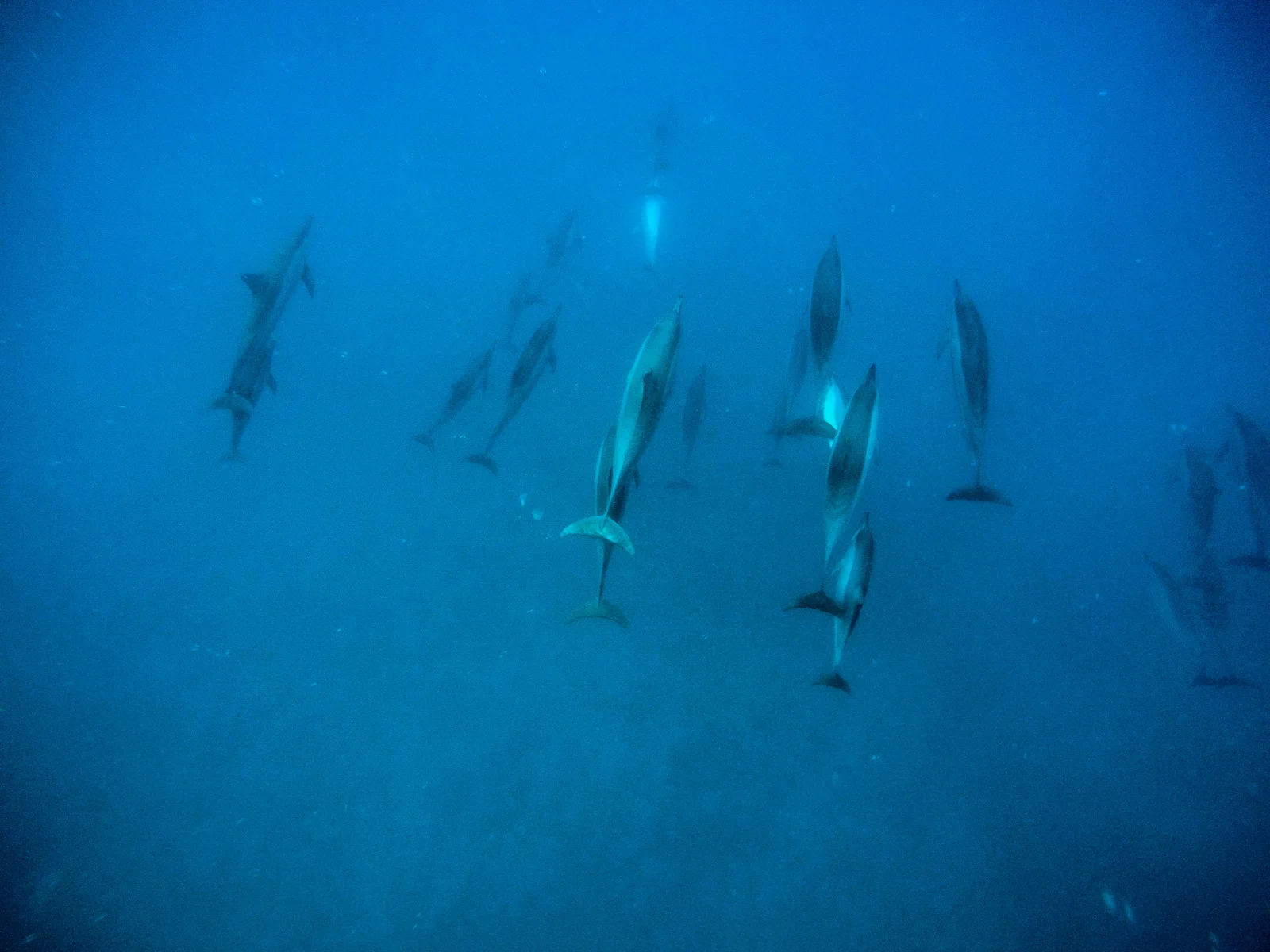 GOPR8089.jpg