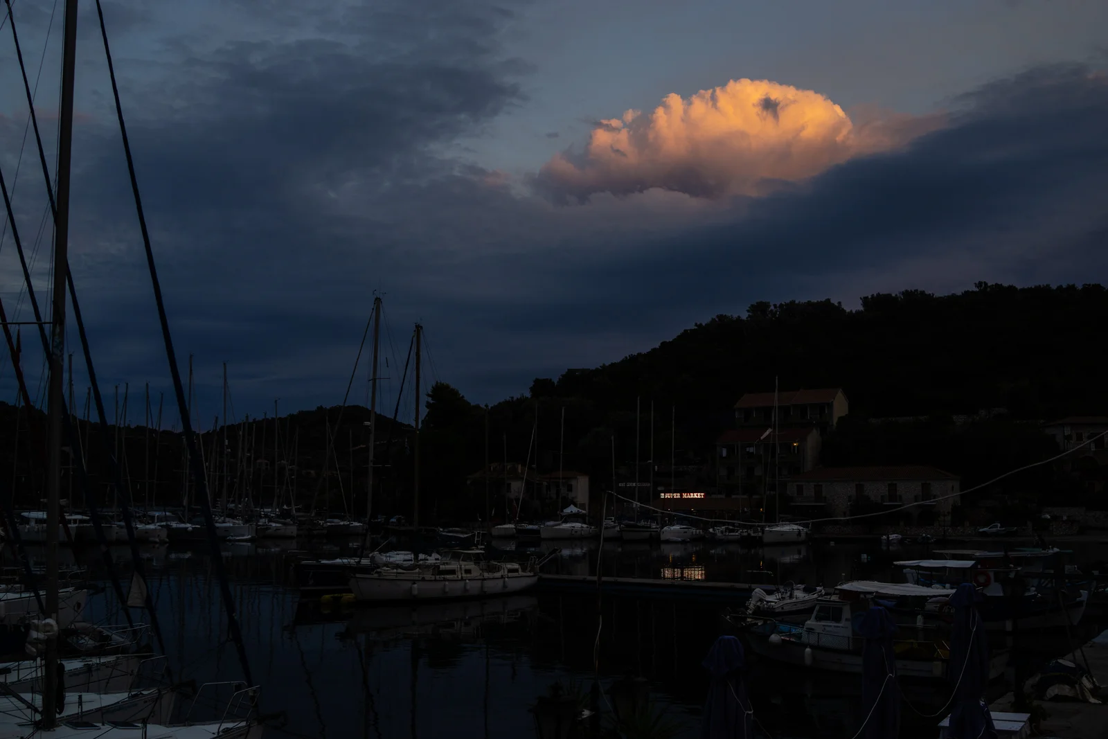 DSC09819.jpg