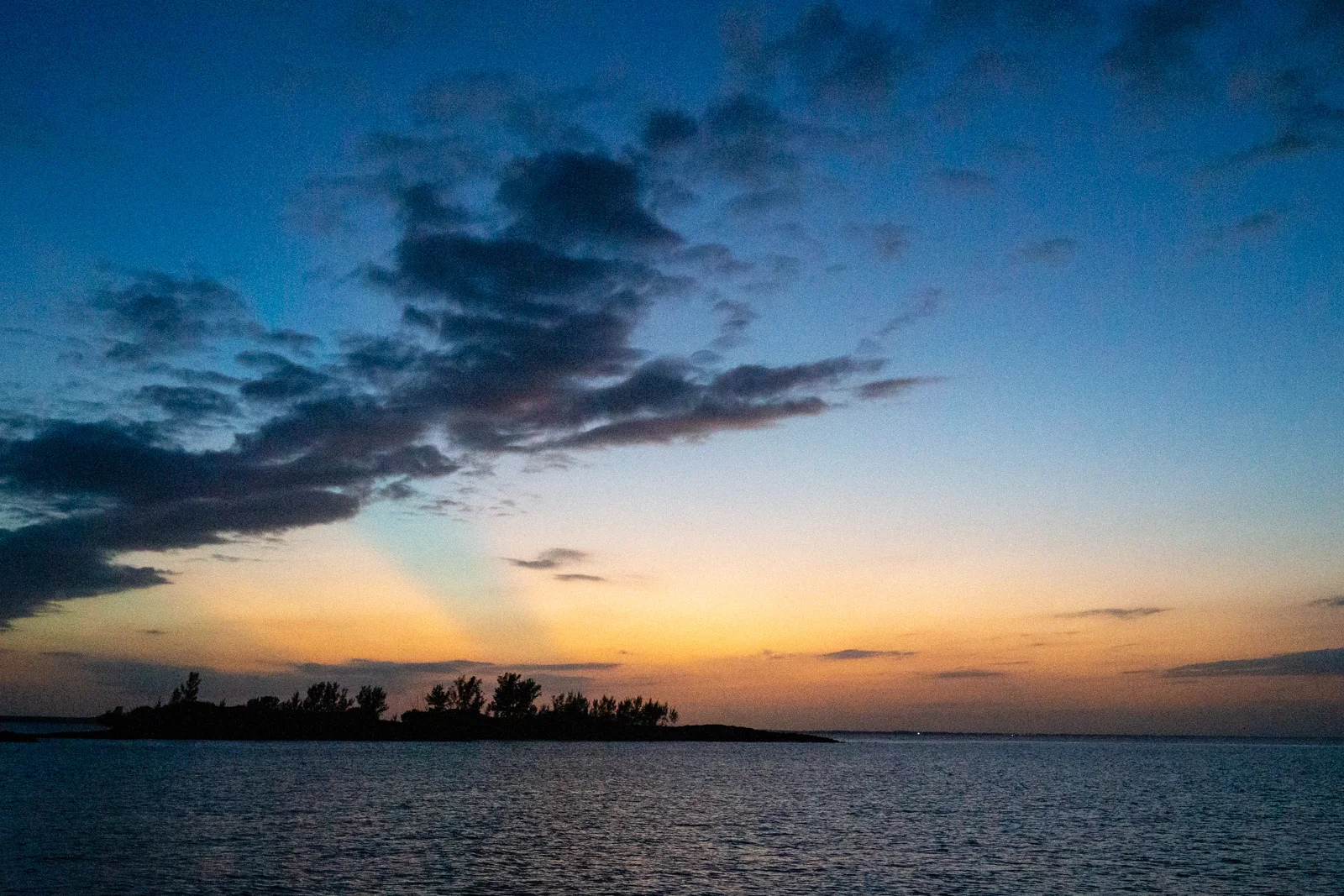 DSC01480.jpg