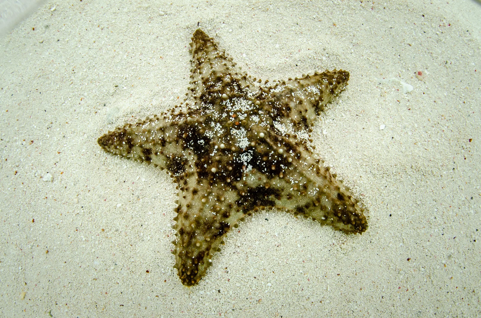 _HPP5726.jpg