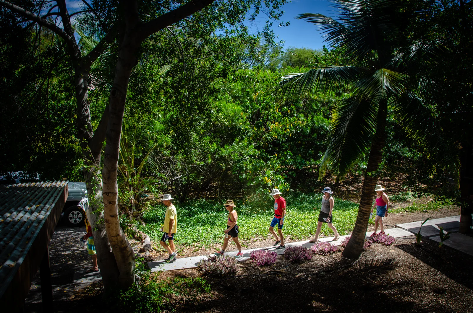 Not wanting to miss an inch of Hawaii, 5 of our 8 guests decided to walk the mile to our afternoon swim, across the lava field path. I (Heather) opted for the van….