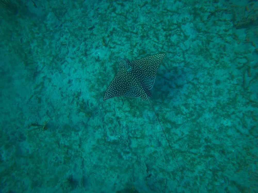 GOPR7665.jpg