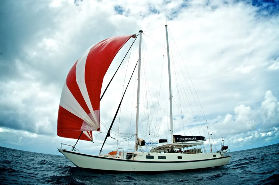 New BVI 108.jpg