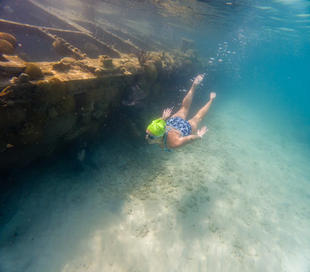 Demon Chicks Invade Bermuda.