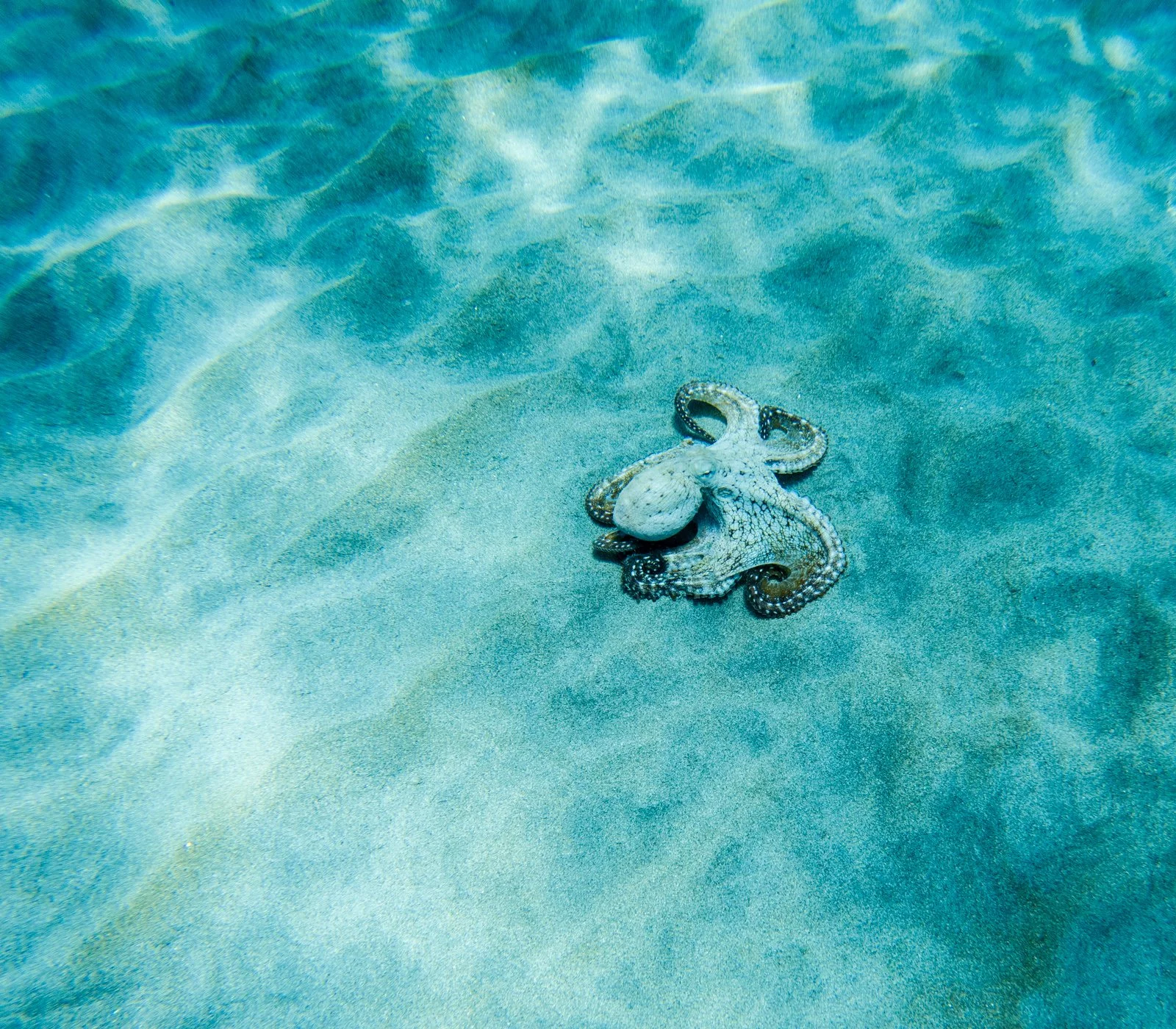 GOPR0637.jpg