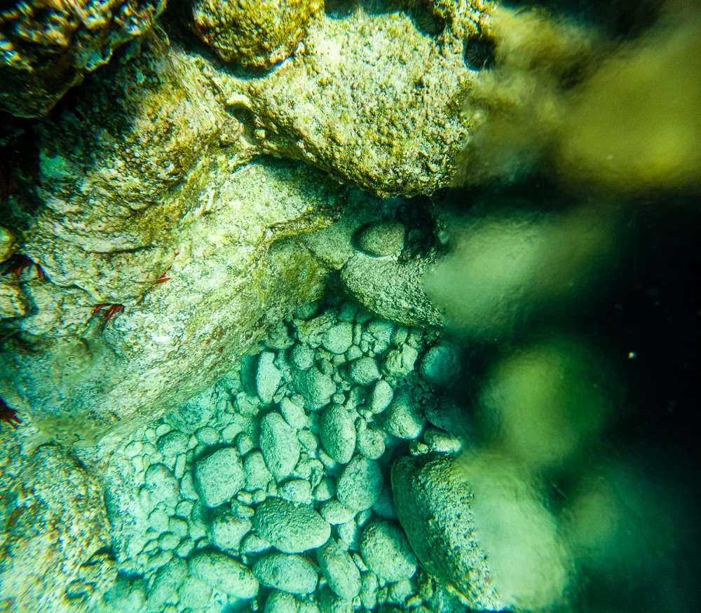 GOPR0712.jpg