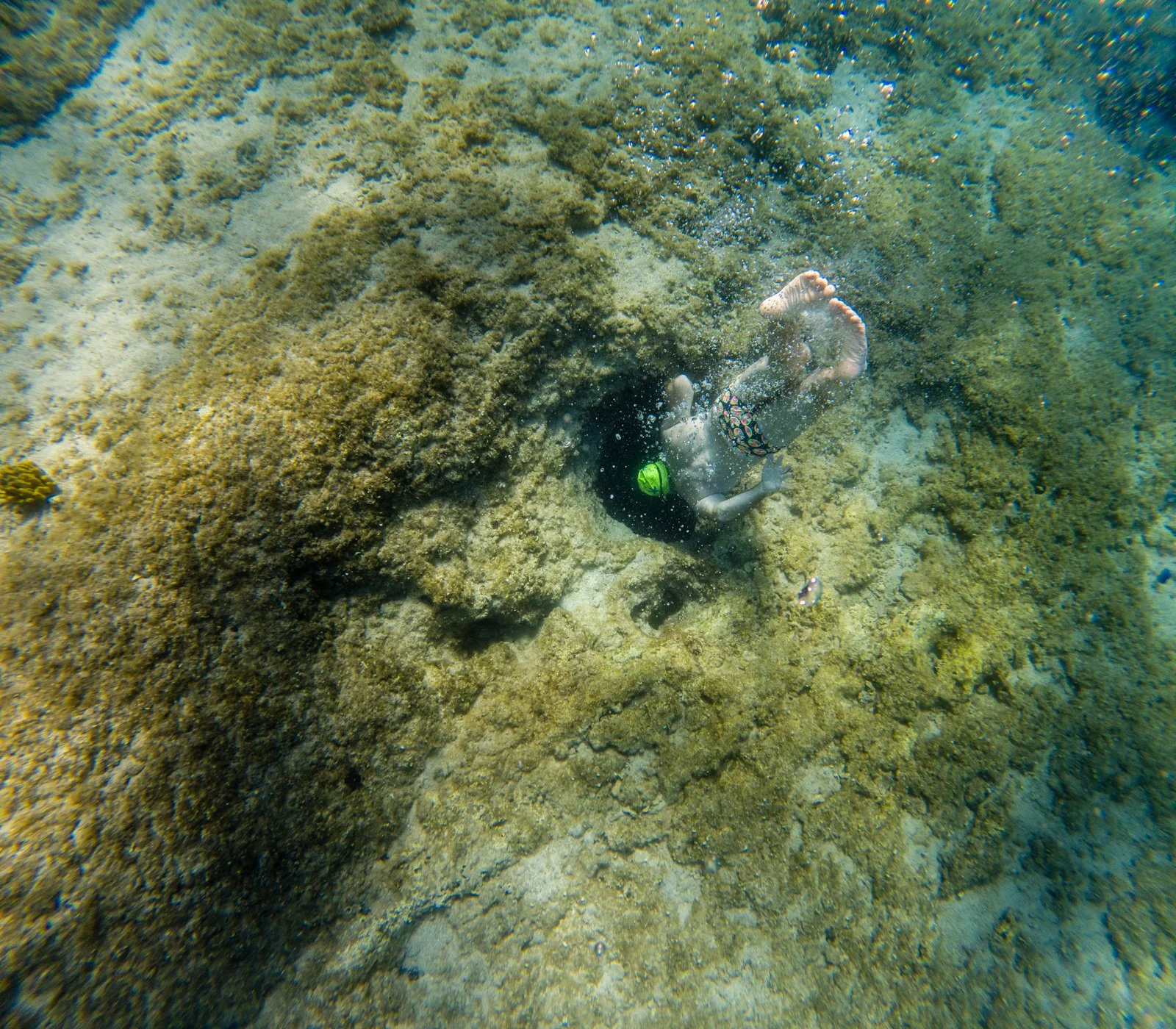 GOPR1731.jpg