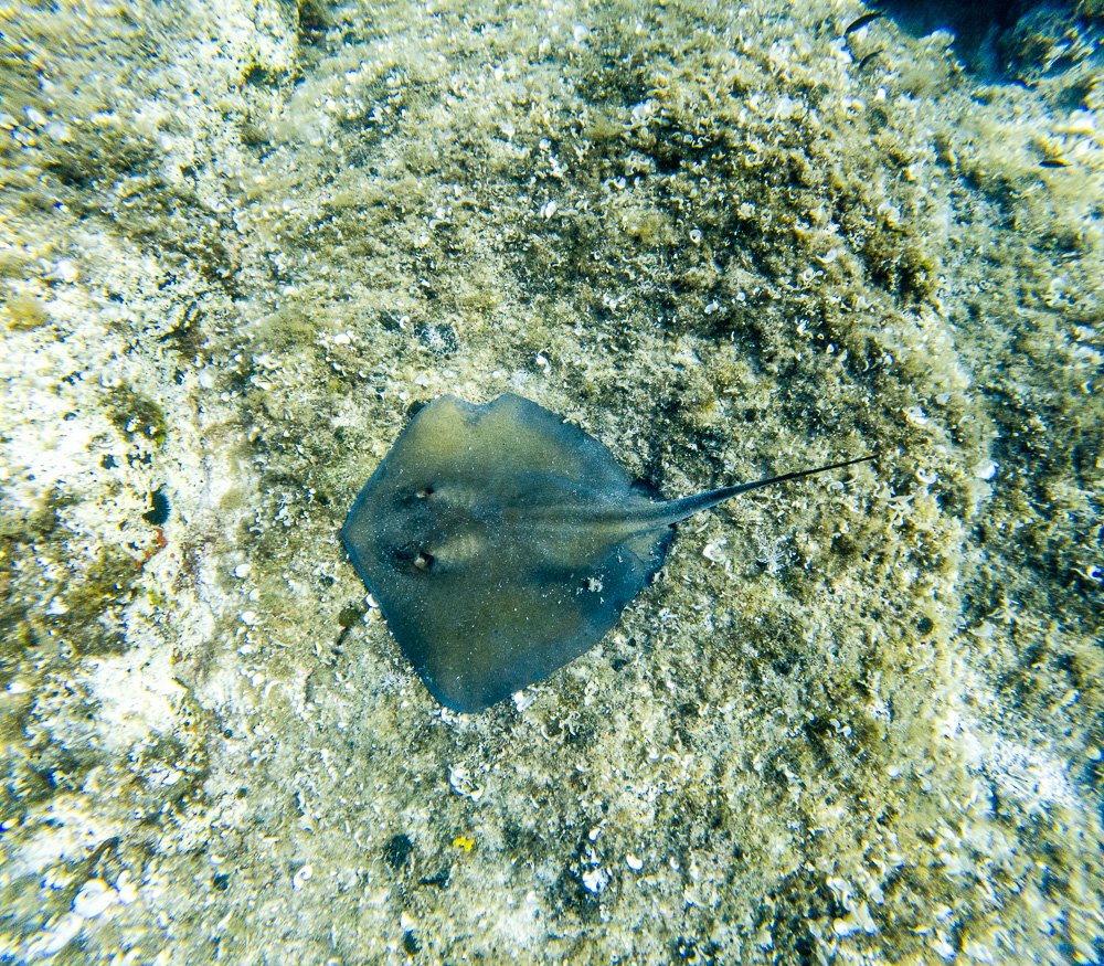 GOPR2370.jpg
