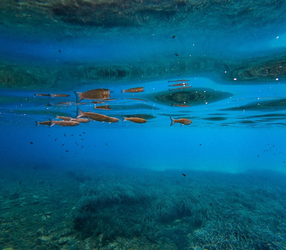 GOPR3547.jpg